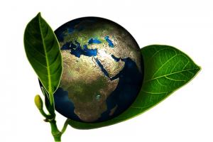 Lofty green bond goals need to be global 